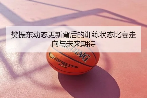 樊振东动态更新背后的训练状态比赛走向与未来期待