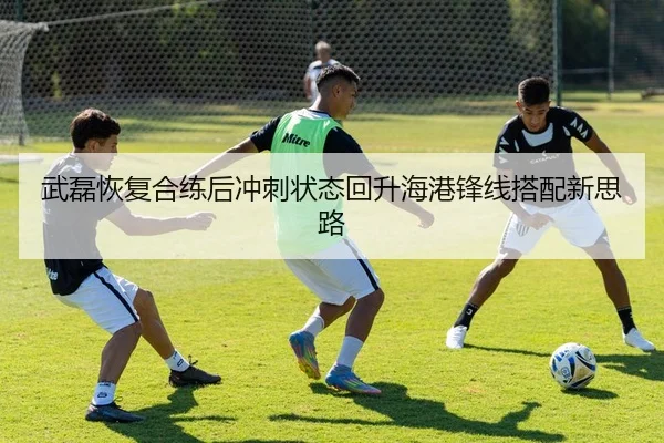 武磊恢复合练后冲刺状态回升海港锋线搭配新思路